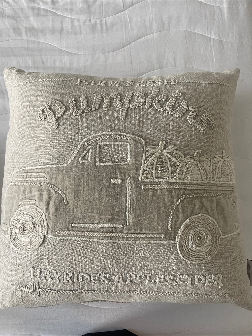 Bella Luxx Cream Embroidered Pumpkin Truck Decorative Pillow